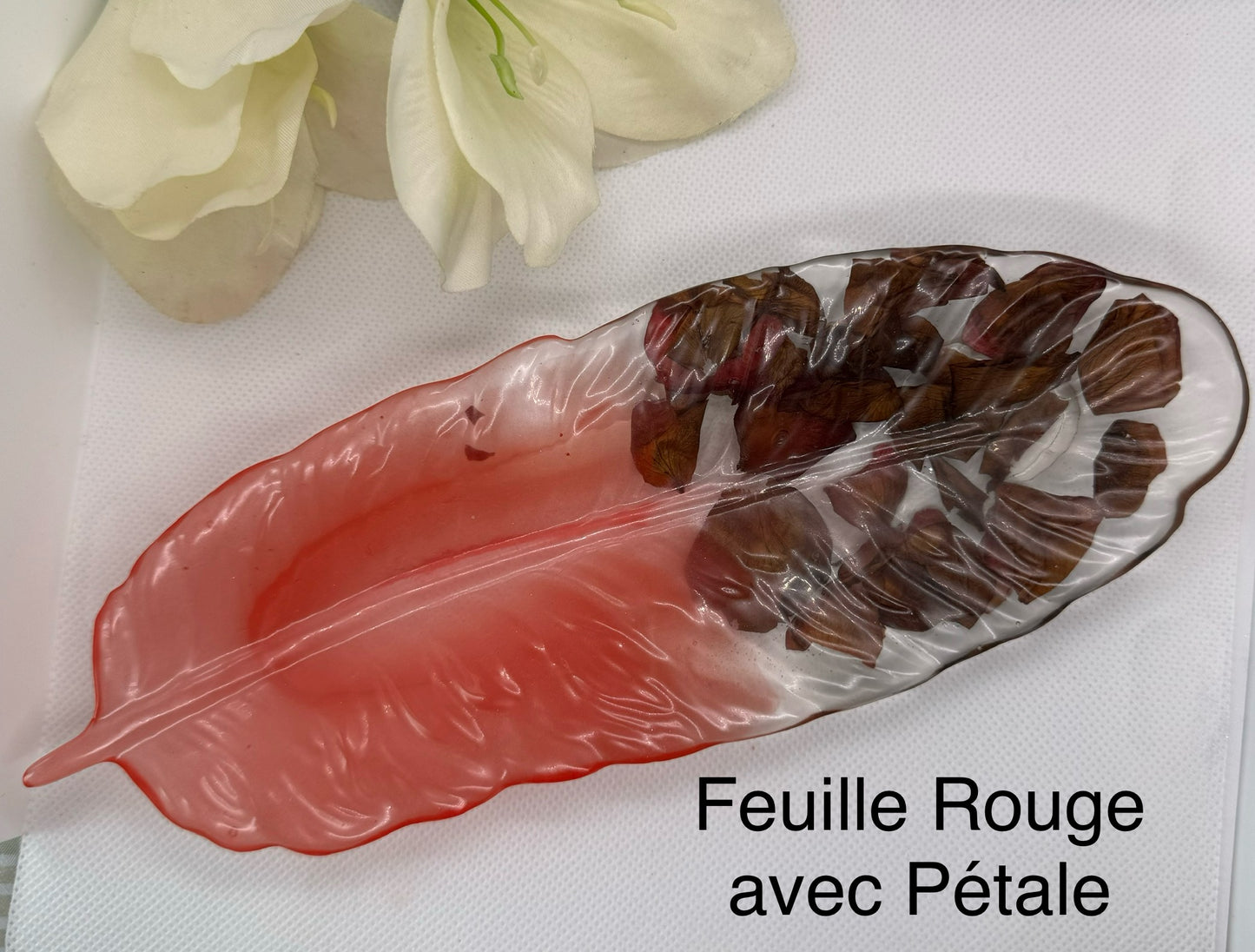 🌿 Vide-poche – Forme plume ✨