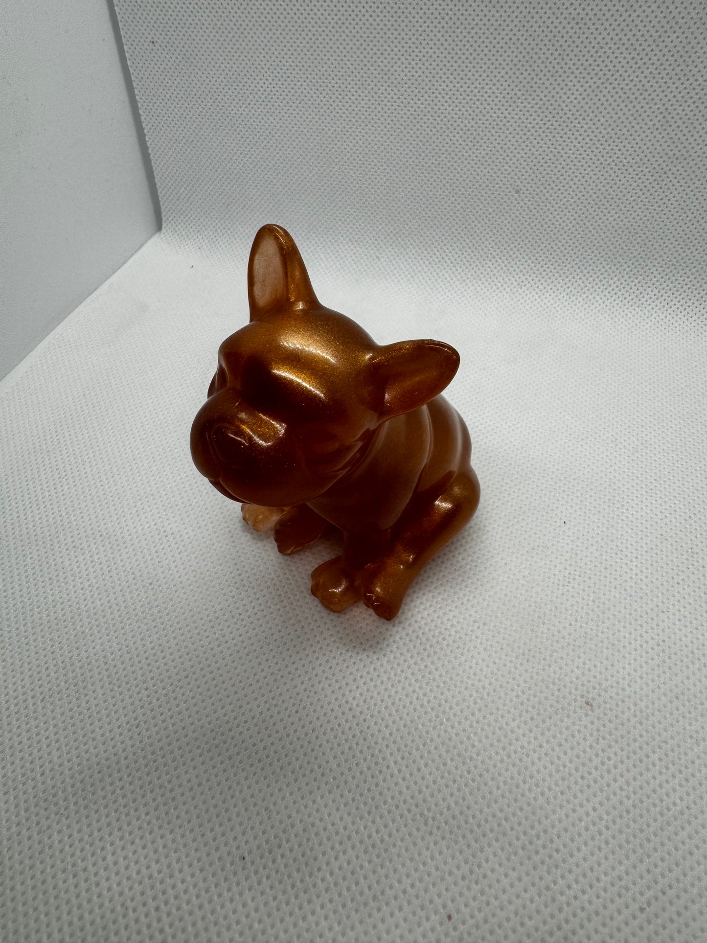 Bouledogues marron cuivre