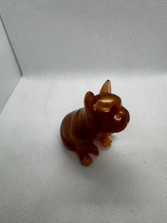 Bouledogues marron cuivre